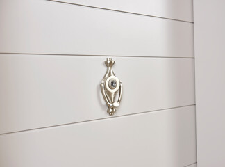 Exterior door doorknob, close up, chromium material style.