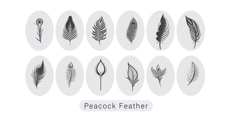 Minimalistic illustration of Peacock feather as icons for Janmashtami festival of India