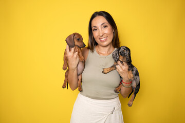 Cute brunette woman holding and embracing dachshund dogs isolated over yellow background. Love to the animals, pets concept. cheerful woman holding Dachshund puppies.