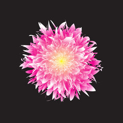 Gradient flower Colorful Background Illustration Flat Design