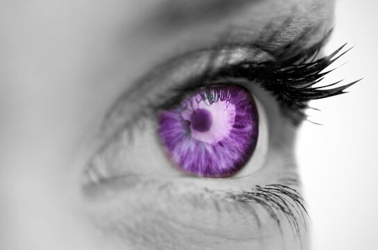 Digital png illustration of purple eye of caucasian woman on transparent background