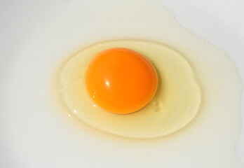 fried eggs