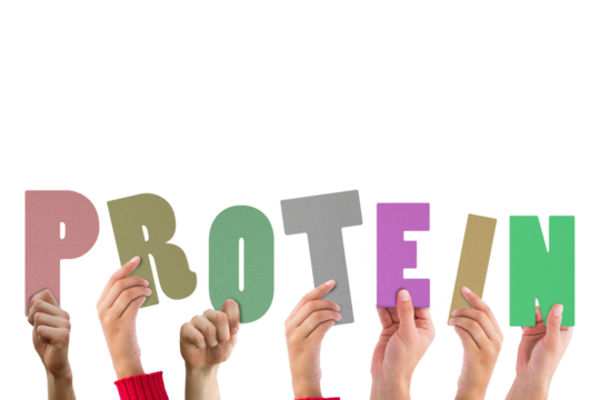 Digital png illustration of hands with protein text on transparent background - Powered by Adobe