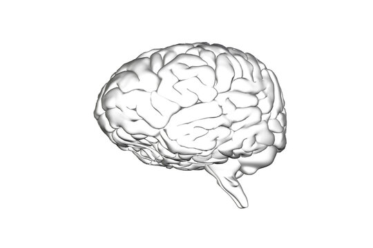 Digital png illustration of transparent brain on transparent background