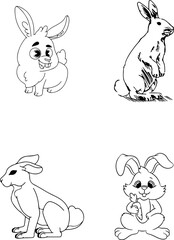 set of rabbits