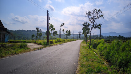 View of straight and lonely road in indonesia - Powered by Adobe
