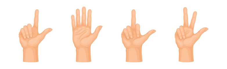 Human Hand Showing Gestures and Signs Vector Set