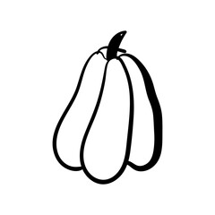 Pumpkin doodle vector drawing. Isolated hand drawn object. Vegetable engraved style illustration. Detailed vegetarian food sketch. Farm market product.