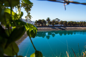 reflection of trees in water