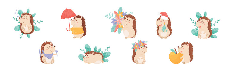 Hedgehog Character Engaged in Different Activity Vector Set