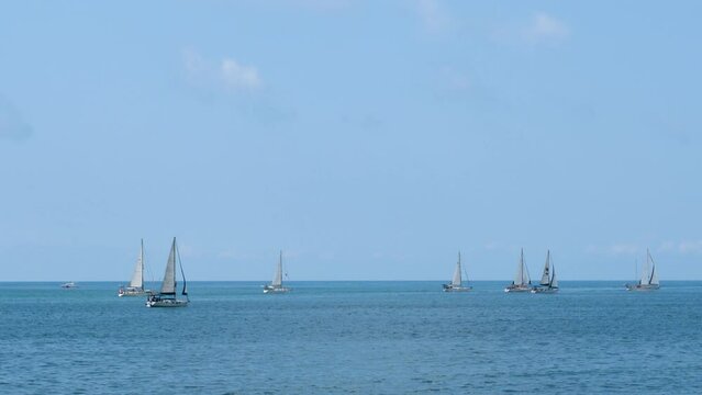 Image of sailing yachts sailing in the sea by taking advantage of the wind power.