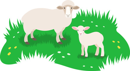 Sheep and her little lamb grazing in green meadow. Simple flat vector illustration
