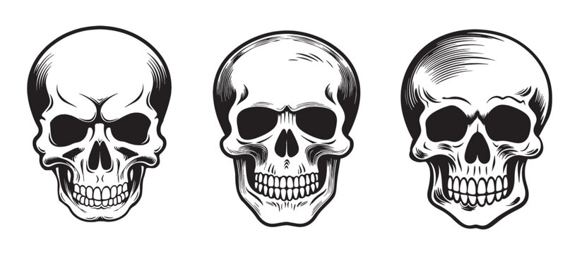 Set of skulls sketch hand drawn death day Vector
