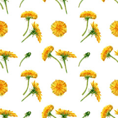 Obraz premium Seamless dandelion floral pattern. Watercolor background with yellow wildflower and green leaves for textile, wallpaper, wrapping paper prints