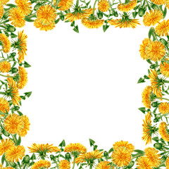 Square watercolor frame with dandelion wildflowers. Floral border with yellow flowers and green leaves for wedding invitations, banners