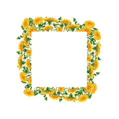 Square frame with dandelion flowers and leaves. Watercolor floral border, banner with yellow wildflowers, green plant for invitations