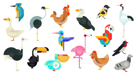 Set vector abstract geometric birds in modern fashion minimal art style. Kingfisher, hummingbird, titmouse, swallow,Kingfisher, hummingbird, titmouse, swallow, heron, flamingo, ostrich, crane.