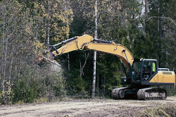 Removing vegetation with forestry mulcher suspended from an excavator.