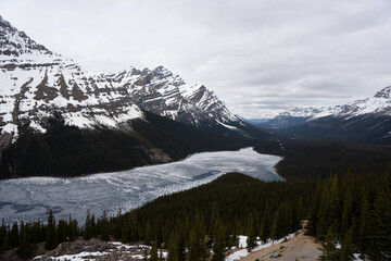 Leicht gefrorener Peyto Lake im Mai