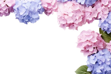 banner background blue and pink hydrangea flowers transparent background copy space suitable for greeting card invitation decoration