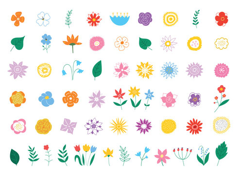Botanical drawing. Various romantic flower and leaf illustrations. Vector illustration EPS 10.