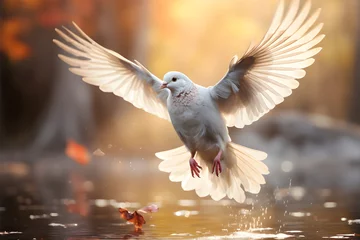 Foto op Plexiglas Photo dove landing on water freedom concept and international day of peace generative ai © artistic