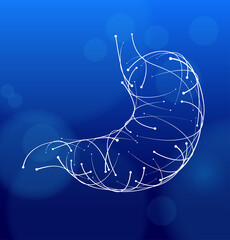 Illustration of a stomach made of white curved lines and dots of varying sizes on a dark blue background. Medical, commercial and educational use.