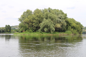 A body of water with trees on it