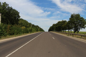 Fototapeta premium A road with trees and blue sky
