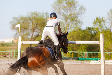 Unobediance of the horse in show jumping competition