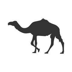 Vector design set silhouette of camels