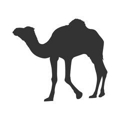 Vector design set silhouette of camels