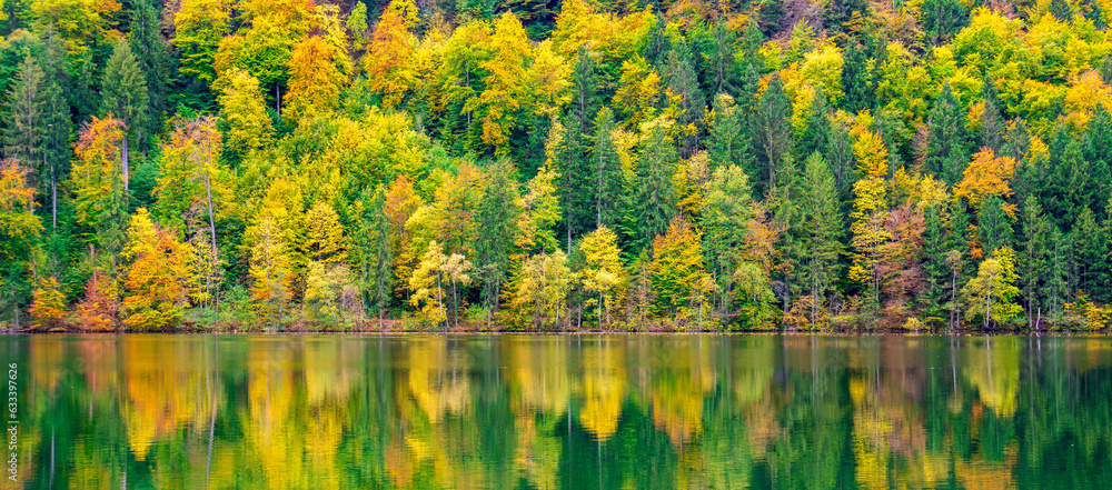 Poster panoramic view to rural landscape with vibrant colored leaves on trees with reflection in lake