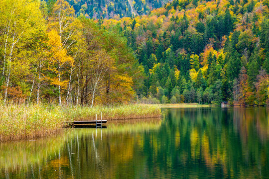 panoramic view to rural landscape with vibrant colored leaves on trees with reflection in lake