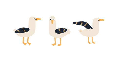 set of hand drawn seagulls in flat style. vector illustration