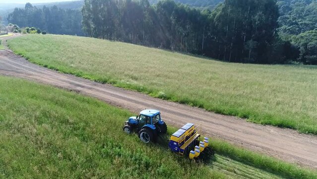 Plantação cana de açúcar na estrada e no campo com trator e maquinário 