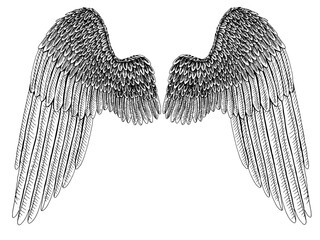 Vector hand drawn angel wings. Tattoo idea, engraving drawing style.