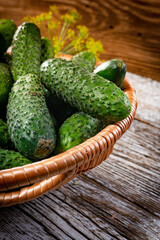 Fresh cucumbers from your home garden.