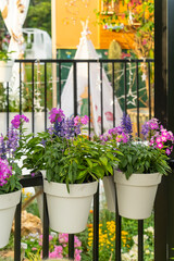 colourful flowers hanging with fence