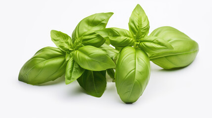 Fototapeta premium Basil isolated on a white background.