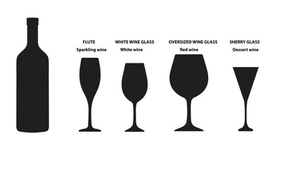 Four types of different wine glasses in which you can drink different types of wine