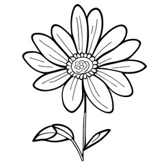 illustration of a flower