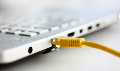 The network connector is inserted into the laptop. The LAN constructor deconstructs the connection of clients to the Internet on the basis of xpon and Adsl - obrazy, fototapety, plakaty