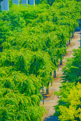 立川サンサンロード