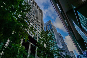Obraz premium 大手町のオフィス街