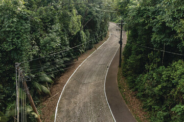 railway in the forest