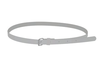 Grey  female belt. vector illustration
