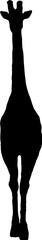 silhouette of a giraffe vector