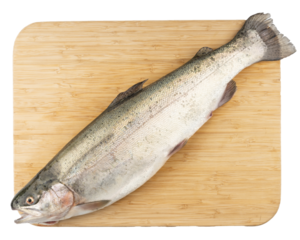 black sea salmon
