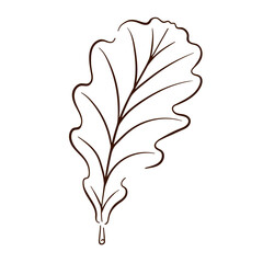 Icon oak leaf in line art style. Vector illustration isolated on a white background. Vintage retro fall seasonal decor.